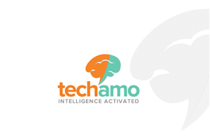 Web Design by TechWise for Techamo Pty Ltd | Design: #2116651
