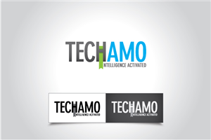 Web Design by TechWise for Techamo Pty Ltd | Design: #2120989