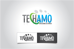 Web Design by TechWise for Techamo Pty Ltd | Design: #2120992