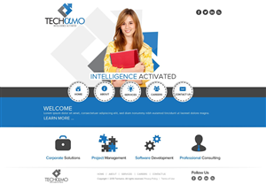Web Design by TechWise for Techamo Pty Ltd | Design: #2130947