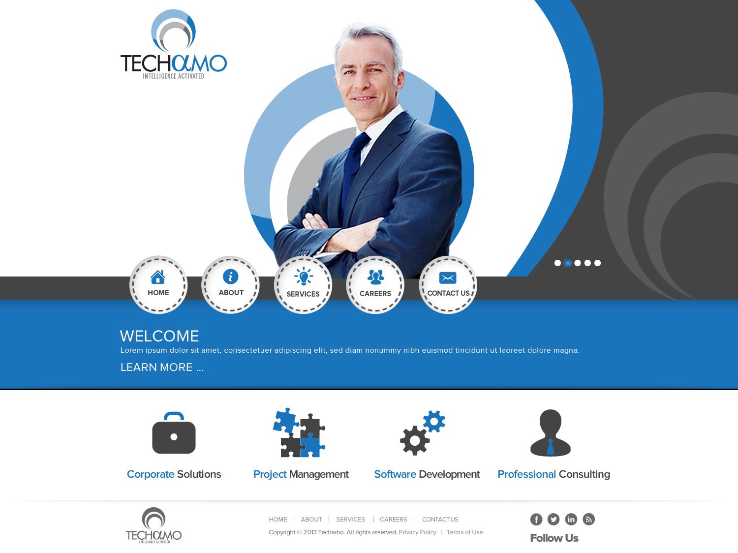 Web Design by TechWise for Techamo Pty Ltd | Design #2154897