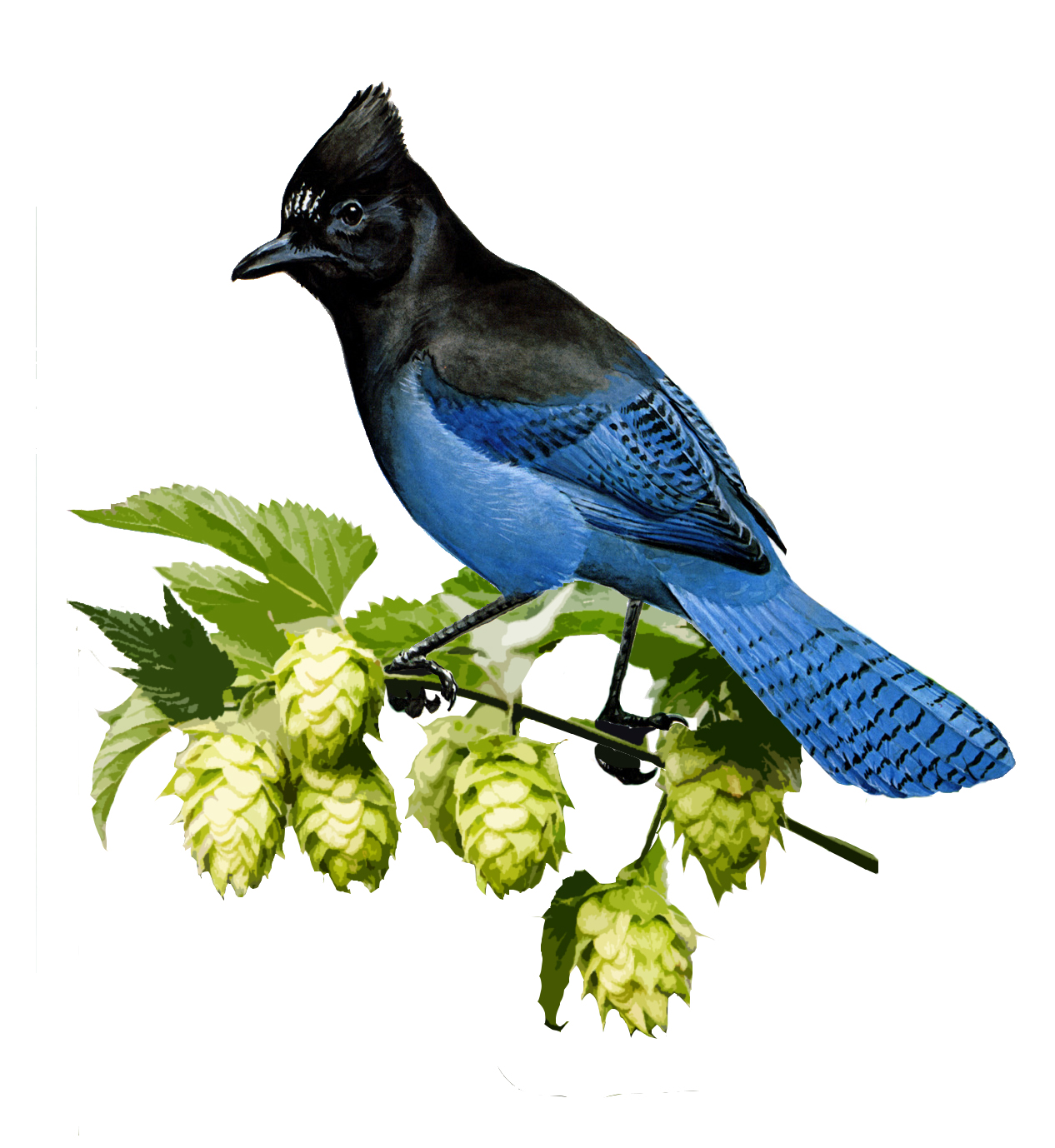 Logo Design by DAGW for this project | Design #9239962