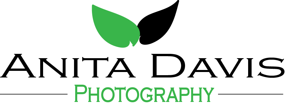 Logo Design by JCM Creative Design for Anita Davis Photography | Design #2047933