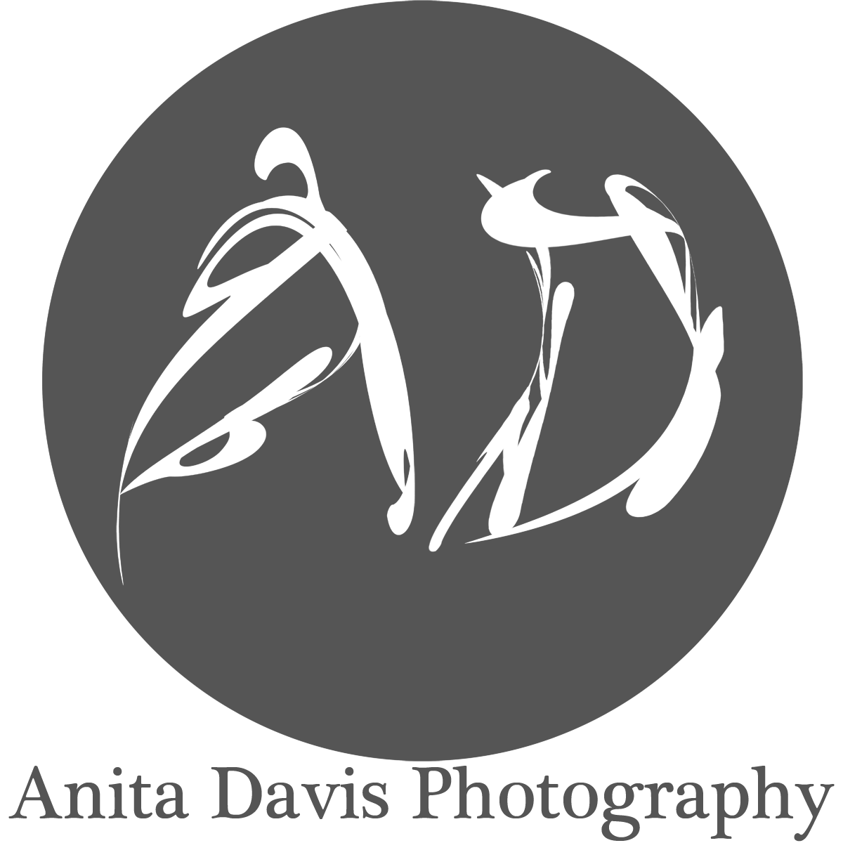 Logo Design by Dalathian Designs for Anita Davis Photography | Design #2057272