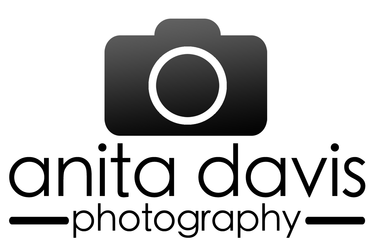 Logo Design by jonmelson for Anita Davis Photography | Design #2061701