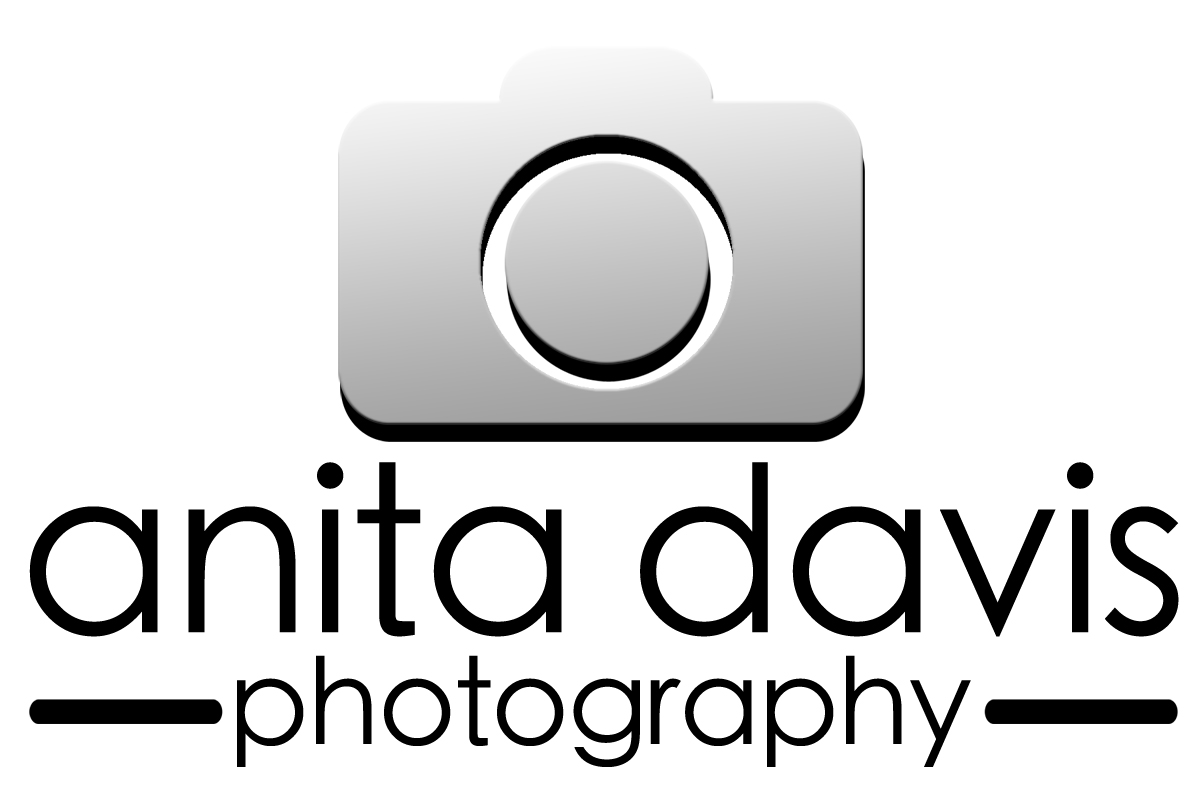 Logo Design by jonmelson for Anita Davis Photography | Design #2061706