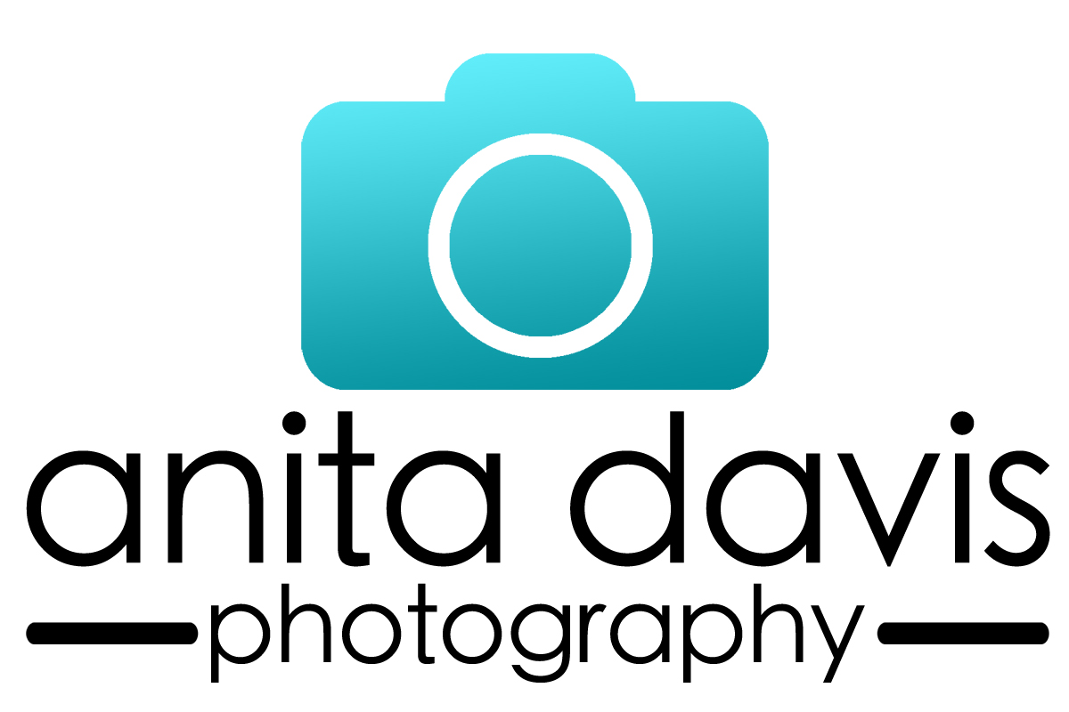 Diseño de Logo por jonmelson para Anita Davis Photography | Diseño #2061708