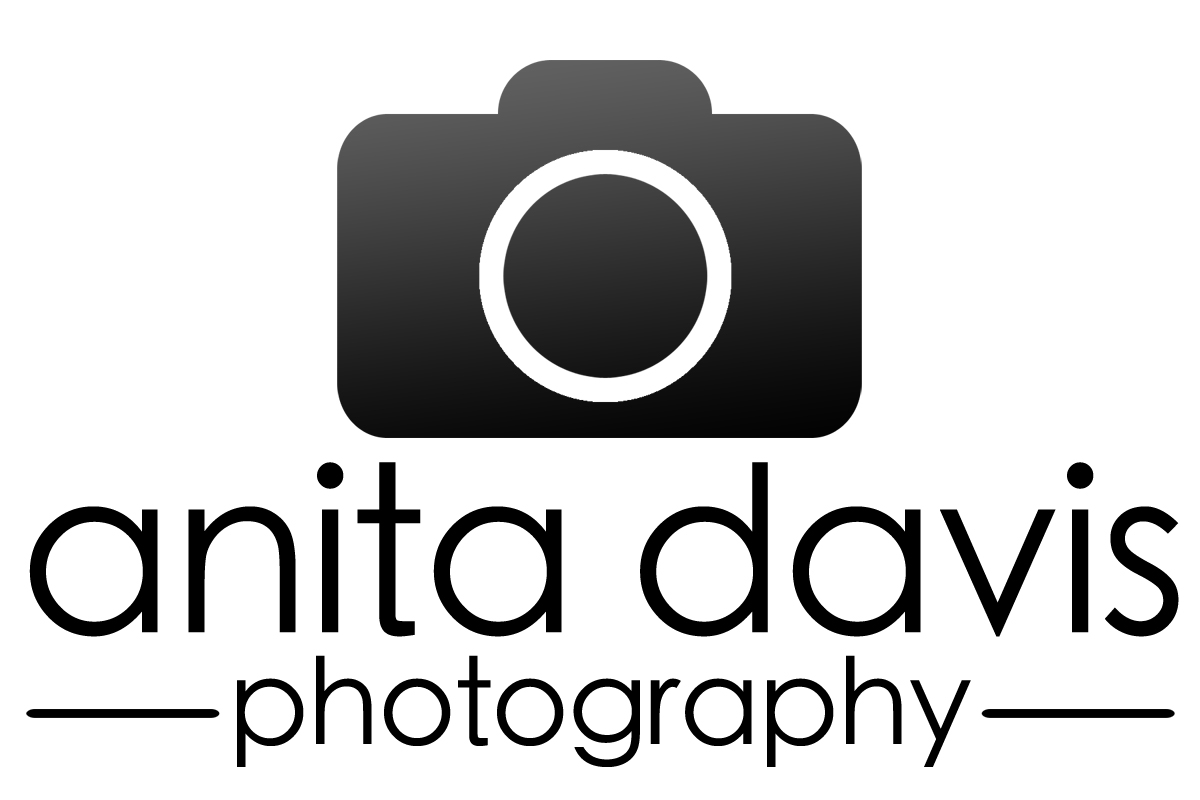 Logo Design by jonmelson for Anita Davis Photography | Design #2061723