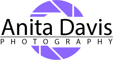 Logo Design by Xanna for Anita Davis Photography | Design #2046958