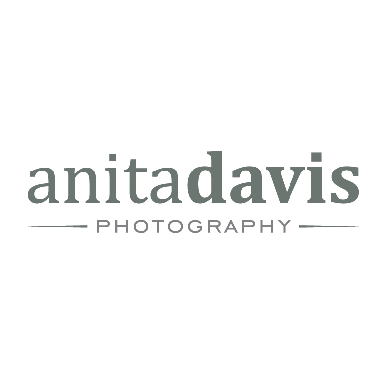 Logo Design by Design Possibilities for Anita Davis Photography | Design #2060484