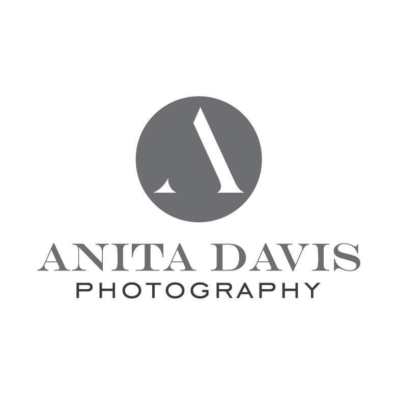 Logo Design by Design Possibilities for Anita Davis Photography | Design #2060518
