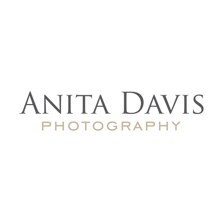 Logo Design by Design Possibilities for Anita Davis Photography | Design #2060520