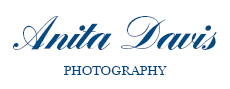 Logo Design by Peachey's Design 2024