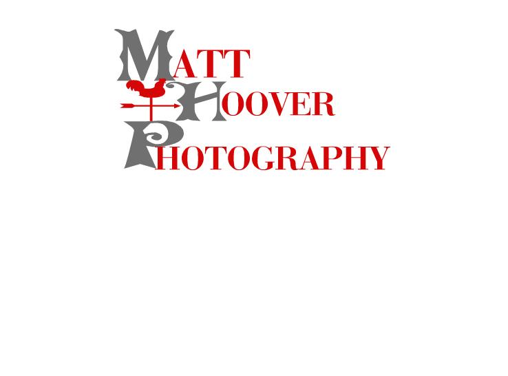 Logo Design by shantayelammie for this project | Design #2035396