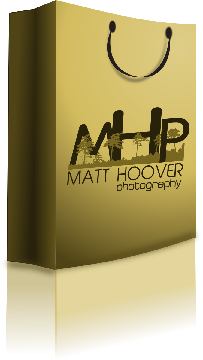 Logo Design by carlos ortiz for this project | Design #2027273