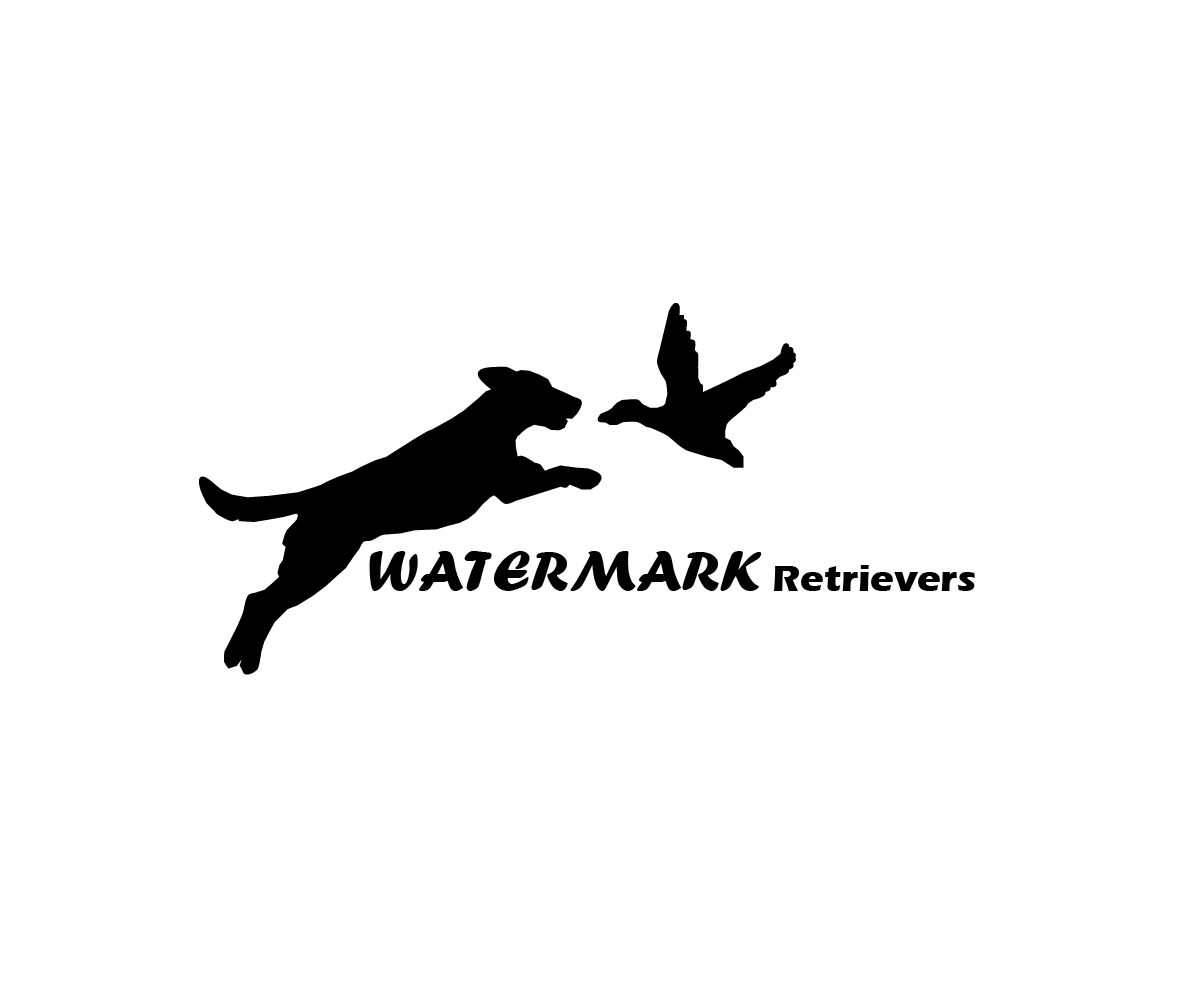 Diseño de Logo por HLDesign para este proyecto | Diseño #2048093