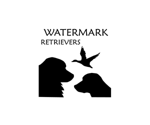 Logo Design by HLDesign
