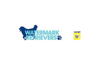 Logo Design by box creative design