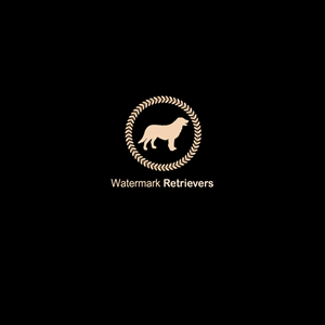 Diseño de Logo por PetiteFrancaise para este proyecto | Diseño: #2120657