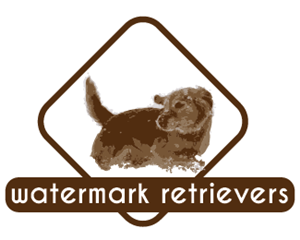 Logo Design by PlanB