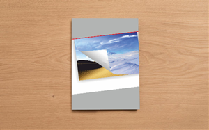 Design de Brochure par dkthedon pour ce projet | Design : #2031183