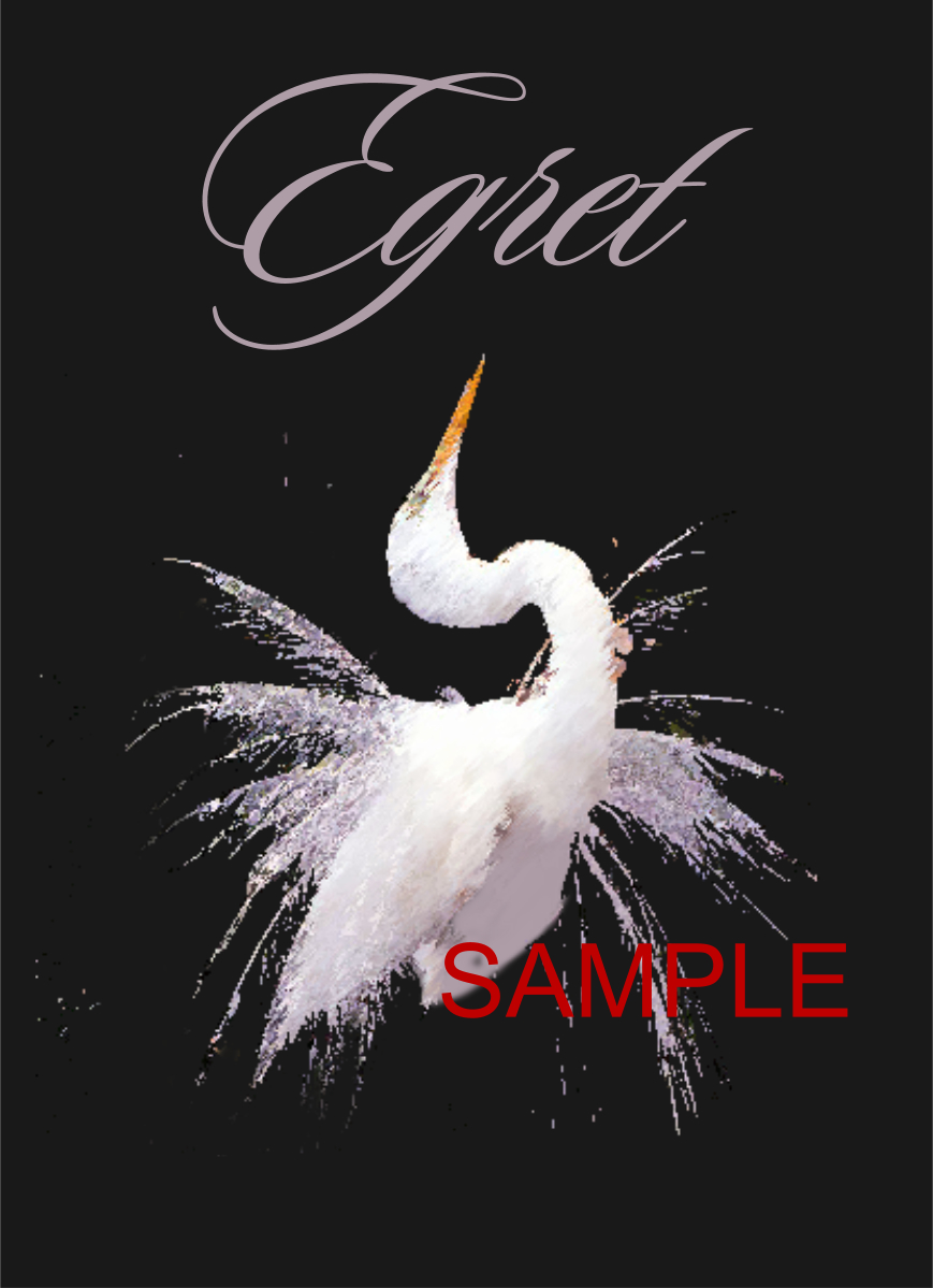 Graphic Design by Chris Boucher for this project | Design #2085866