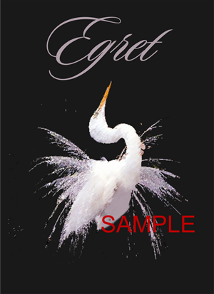 Graphic Design by Chris Boucher for this project | Design #2085866