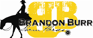 Design de Logo par LKW Designs pour Outlaw, LLC | Design #2052582