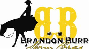 Logo Design by LKW Designs for Outlaw, LLC | Design: #2052583
