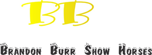 Logo Design by mega mustika