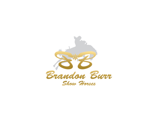 Logo Design by zibon