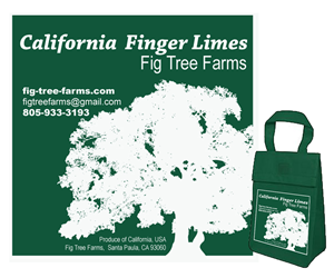 Graphic Design by Transfuchsian for Fig Tree Farms | Design: #2071363