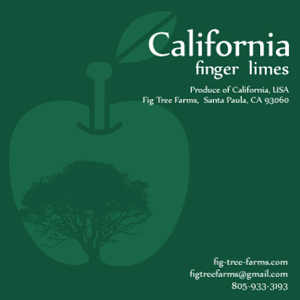 Graphic Design by roopaljain for Fig Tree Farms | Design #2049661