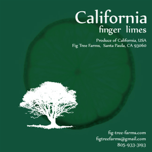 Diseño Gráfico por roopaljain para Fig Tree Farms | Diseño: #2060642