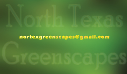 Business Card Design by Carolina Designs for this project | Design: #9173043