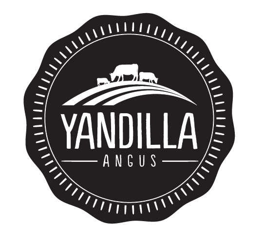 Logo Design by designedbykyle for this project | Design #2031728
