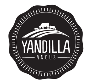 Logo Design by designedbykyle for this project | Design: #2031728