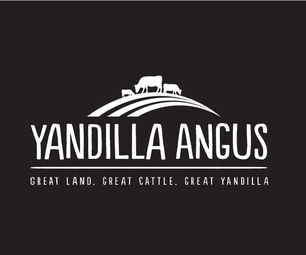 Logo Design by designedbykyle for this project | Design #2036386