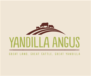 Logo Design by designedbykyle for this project | Design: #2036390