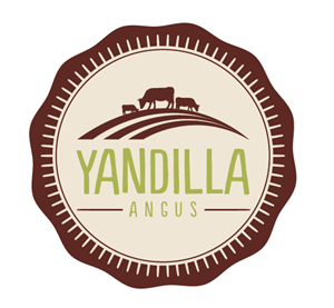 Logo Design by designedbykyle for this project | Design: #2036391