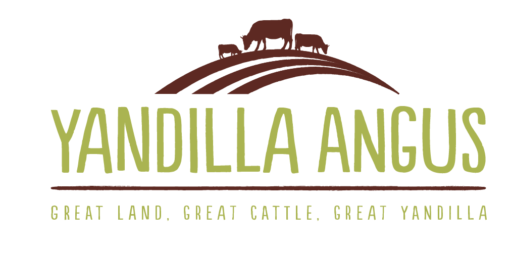 Design de Logo par designedbykyle pour ce projet | Design #2036396