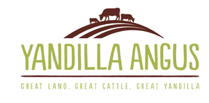 Logo Design by designedbykyle for this project | Design: #2036396