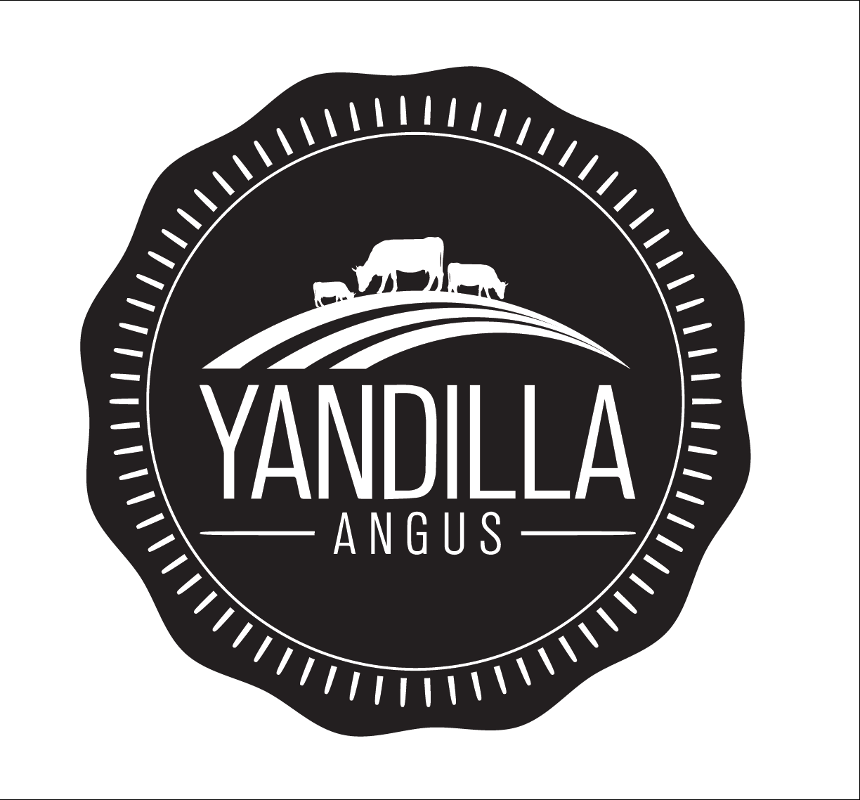 Logo Design by designedbykyle for this project | Design #2067435