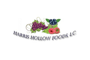 Logo Design by Anna