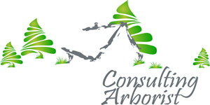 Design de Logo par Cláudia Polónia pour ce projet | Design : #427838