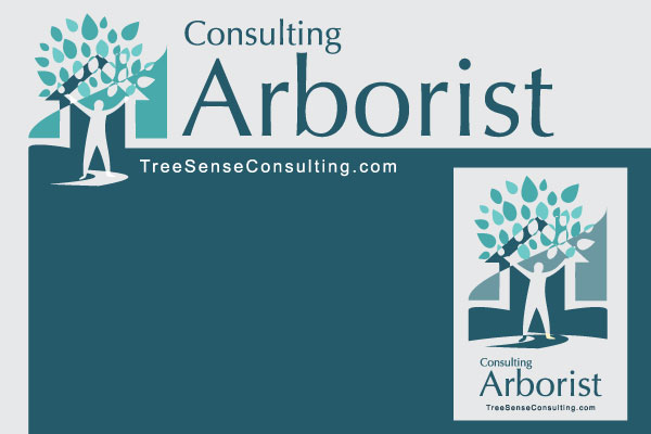 Logo Design by PATRICK KING GRAPHICS for this project | Design #425793