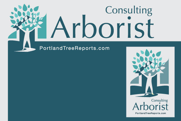Logo Design by PATRICK KING GRAPHICS for this project | Design #428058