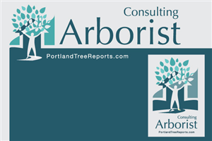 Logo Design by PATRICK KING GRAPHICS