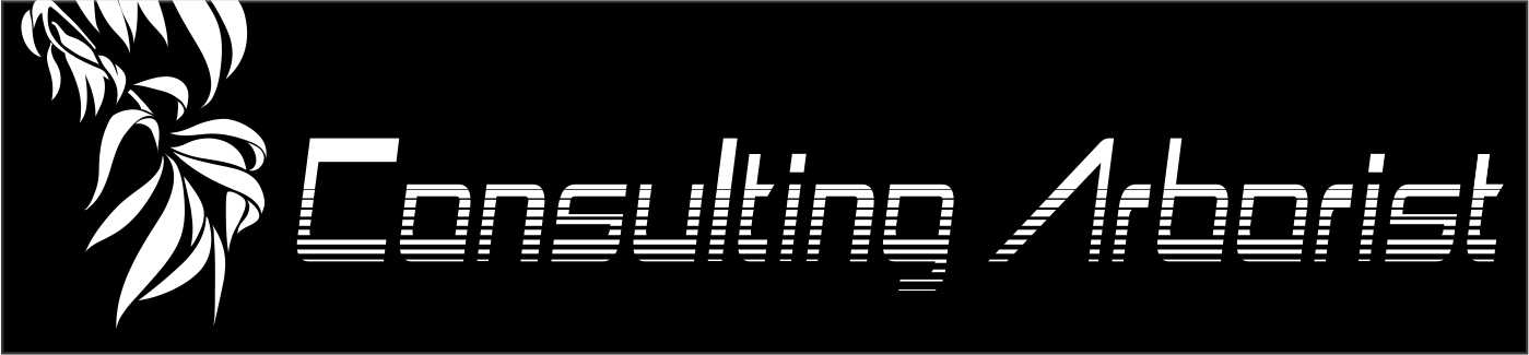 Logo-Design von MissMelanie für dieses Projekt | Design #429411