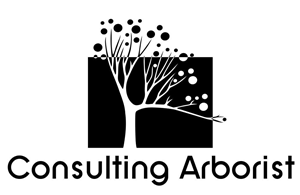 Logo Design by MissMelanie for this project | Design: #429466